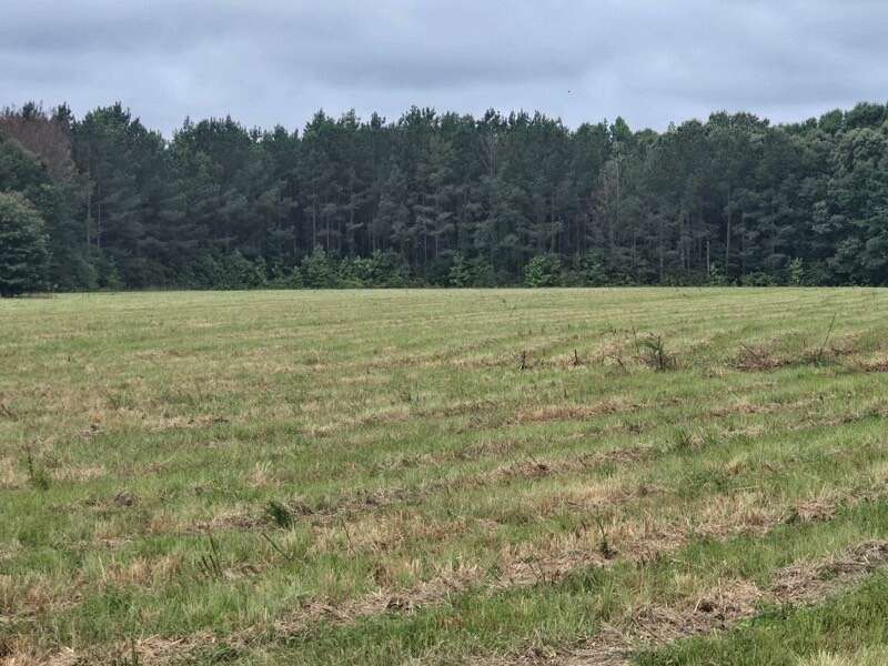14 Acres of Land for Sale in Akron, Alabama