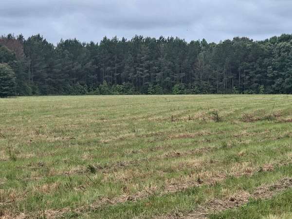 14 Acres of Land for Sale in Akron, Alabama