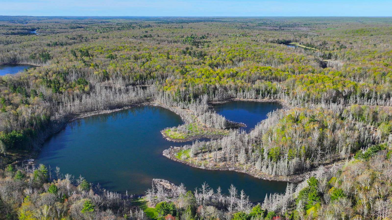 443 Acres of Recreational Land for Sale in Drummond, Wisconsin