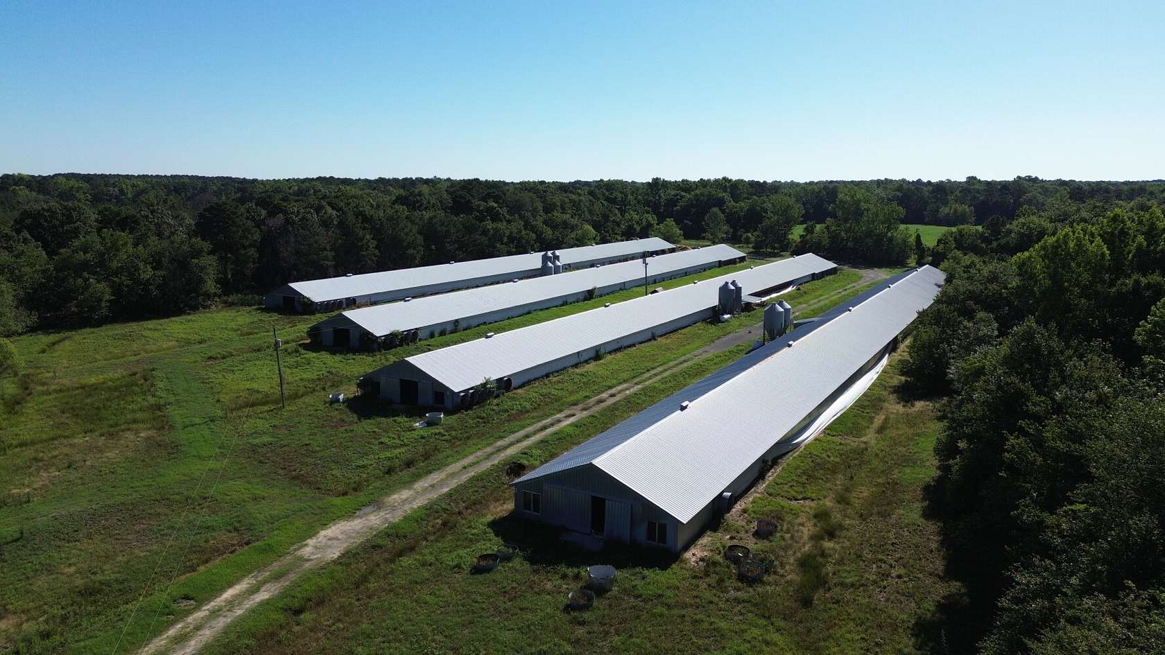 40 Acres of Land for Sale in Manning, South Carolina