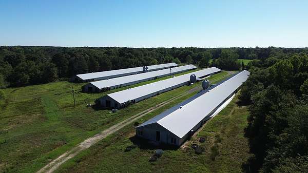 40 Acres of Land for Sale in Manning, South Carolina