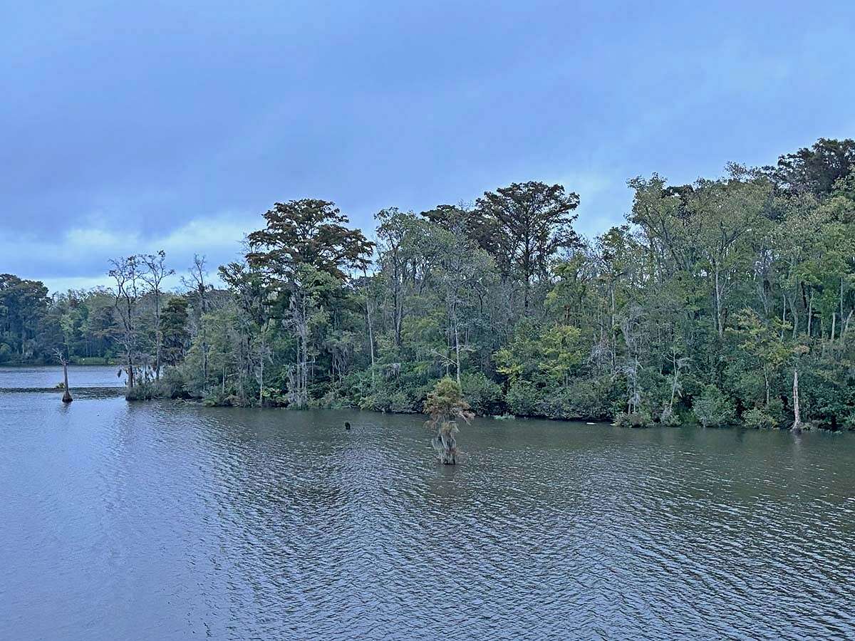 931 Acres of Land for Sale in Plymouth, North Carolina