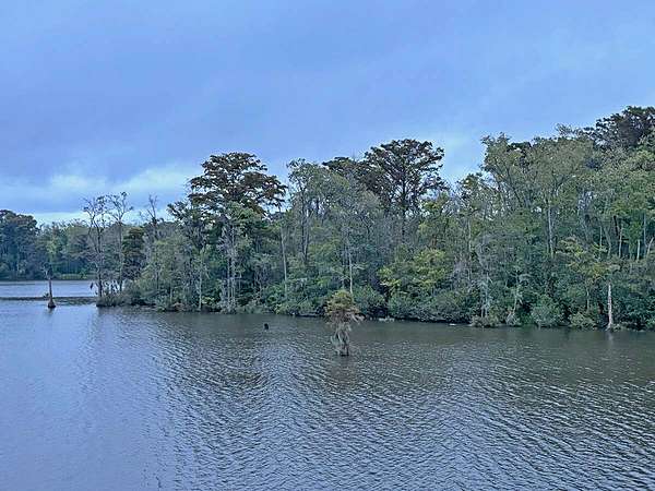 931 Acres of Land for Sale in Plymouth, North Carolina