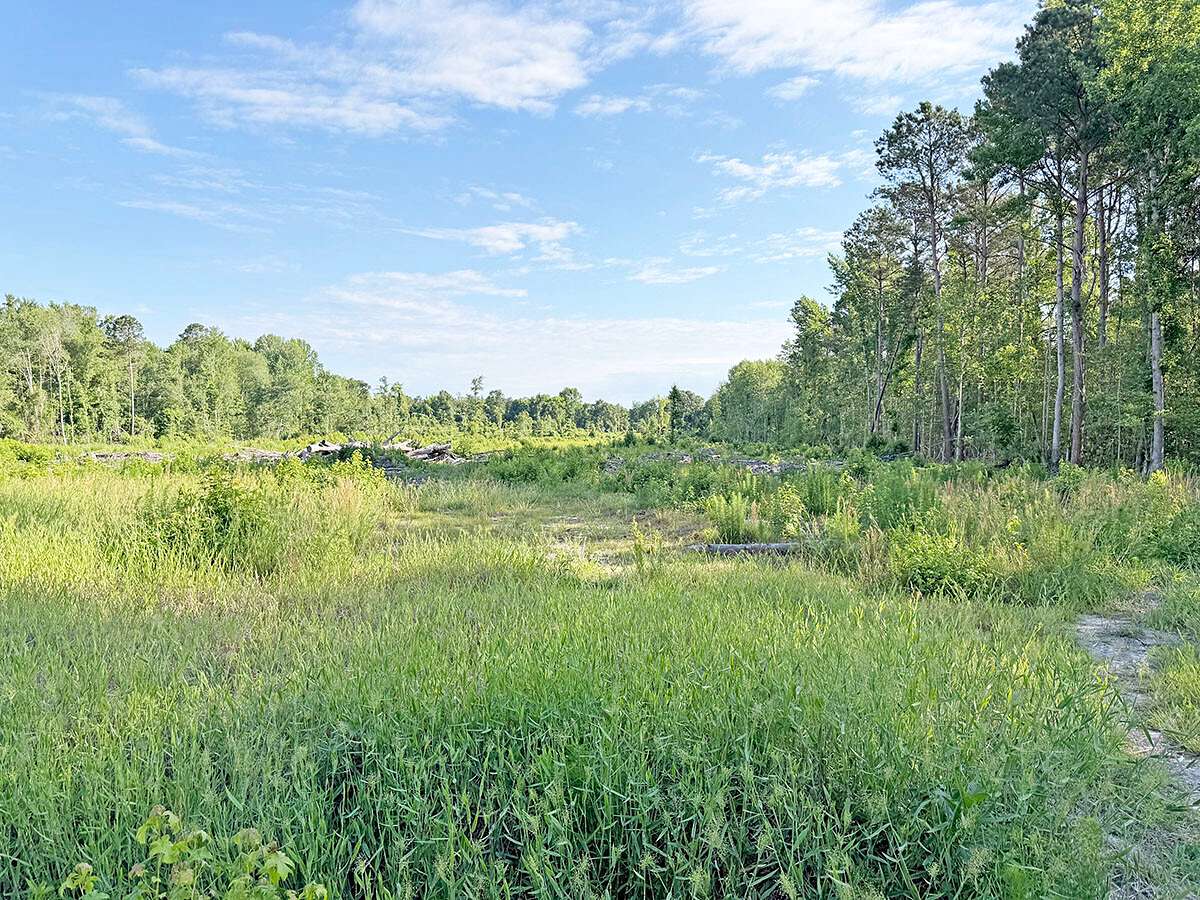 21 Acres of Land for Sale in Bennettsville, South Carolina