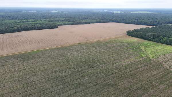 325 Acres of Land for Sale in Stuttgart, Arkansas