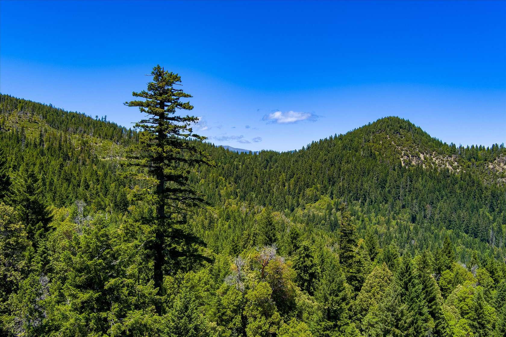 794 Acres of Recreational Land for Sale in Hyampom, California