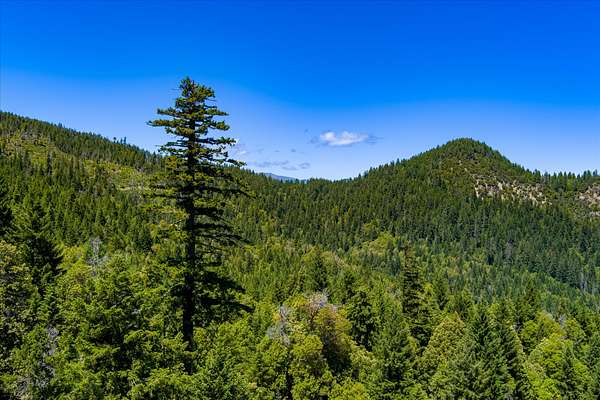 794 Acres of Recreational Land for Sale in Hyampom, California