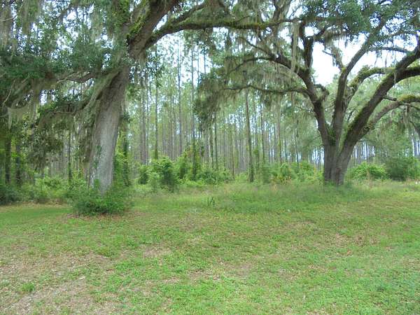 11.7 Acres of Mixed-Use Land for Sale in Perry, Florida