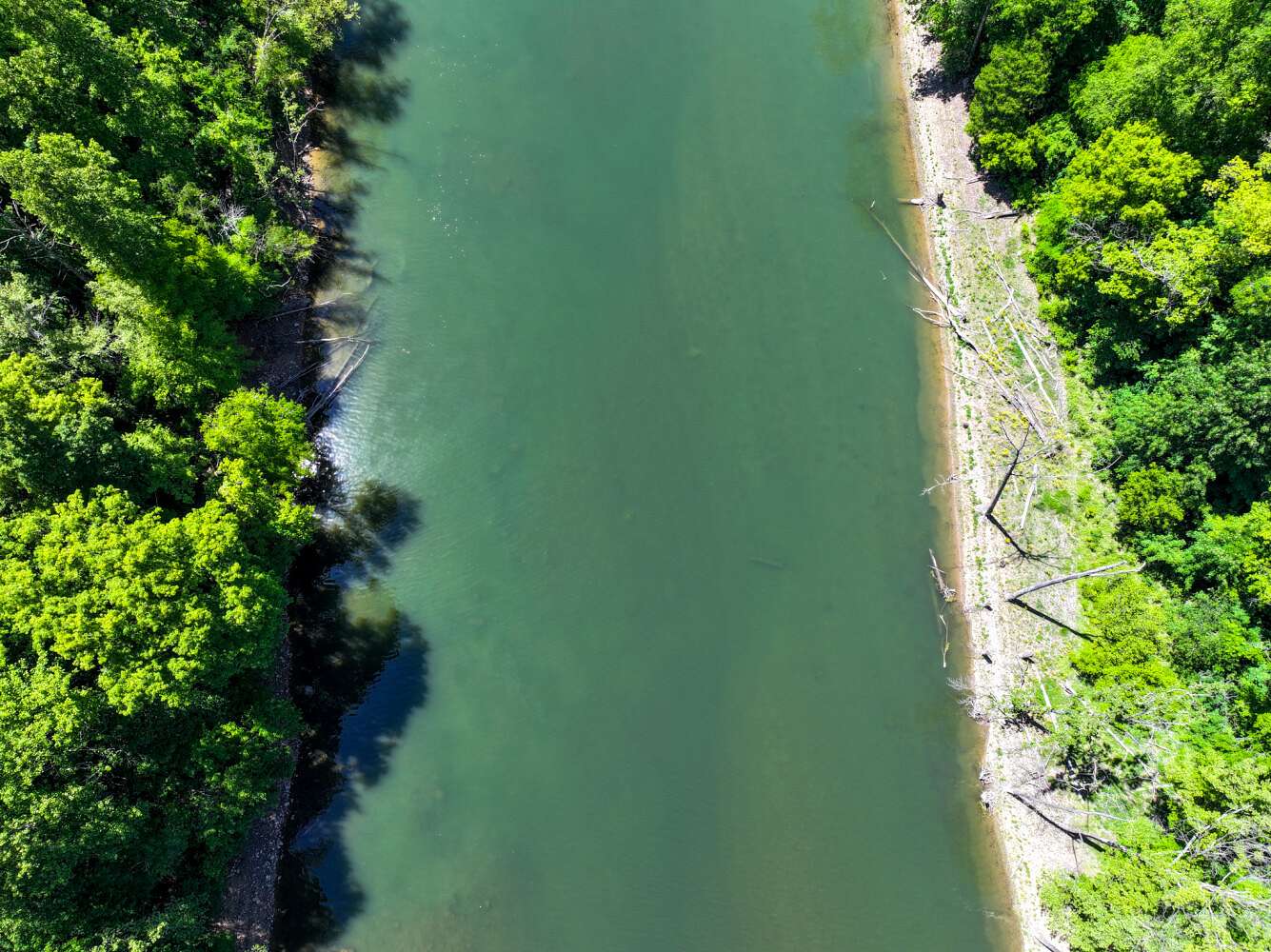 6.76 Acres of Residential Land for Sale in Speedwell, Tennessee