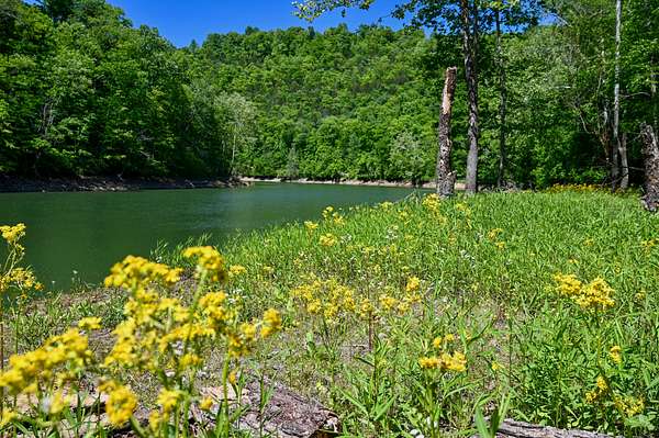 29.2 Acres of Recreational & Residential Land for Sale in Speedwell, Tennessee