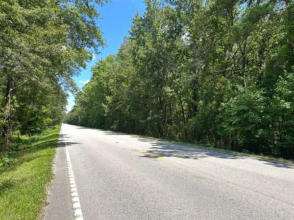 20 Acres of Recreational & Residential Land for Sale in Bonneau, South Carolina