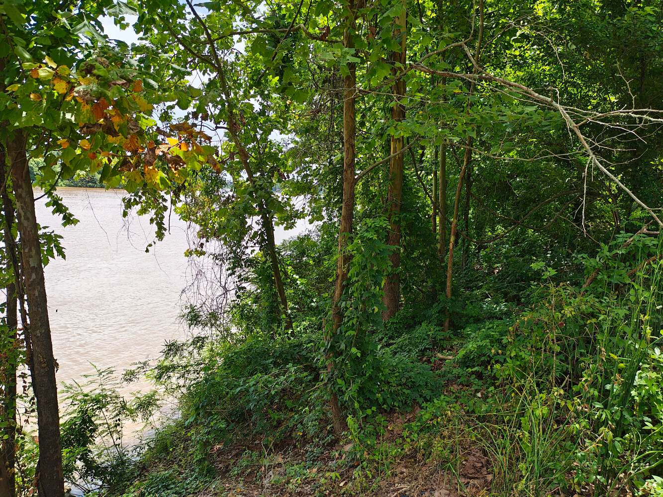 0.6 Acres of Land for Sale in Marksville, Louisiana