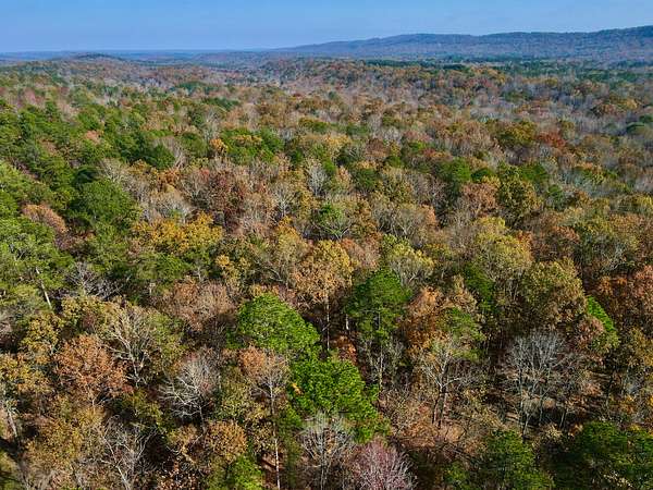 20 Acres of Recreational & Residential Land for Sale in Leeds, Alabama
