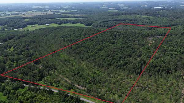 71 Acres of Recreational & Residential Land for Sale in Blountsville, Alabama