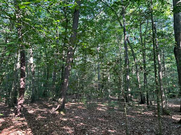 3.27 Acres of Residential Land for Sale in Summerville, South Carolina