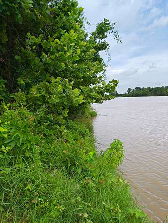 22 Acres of Recreational Land for Sale in Marksville, Louisiana
