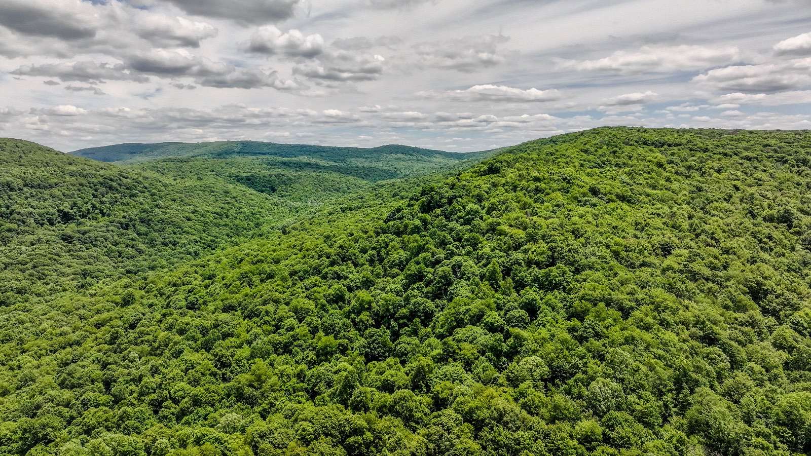 74.1 Acres of Land for Sale in Ohiopyle, Pennsylvania