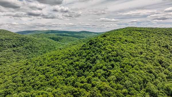 74.1 Acres of Land for Sale in Ohiopyle, Pennsylvania