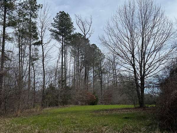 98 Acres of Recreational Land for Sale in Moundville, Alabama
