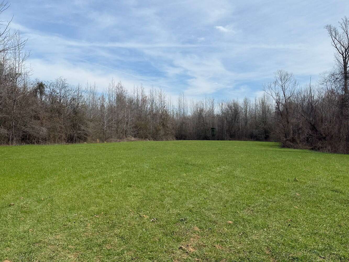 73 Acres of Recreational Land for Sale in Moundville, Alabama