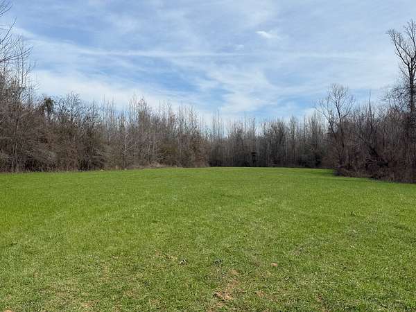 73 Acres of Recreational Land for Sale in Moundville, Alabama