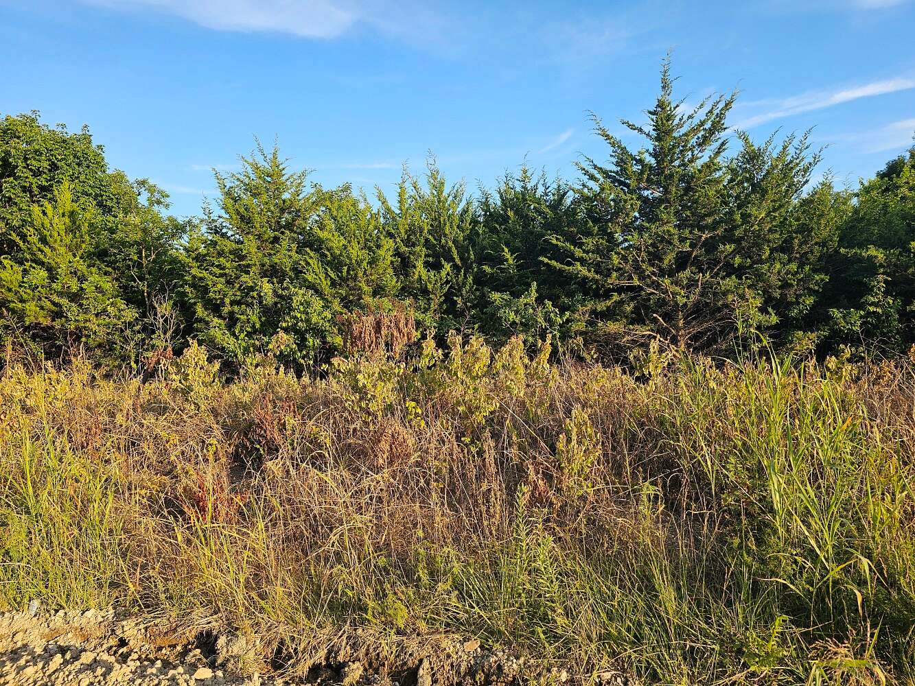 5 Acres of Land for Sale in Terlton, Oklahoma