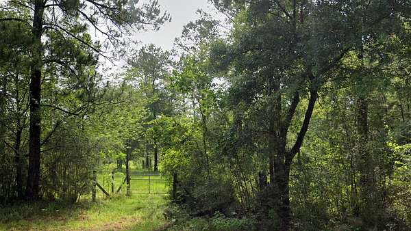 6 Acres of Land for Sale in Wilmer, Alabama