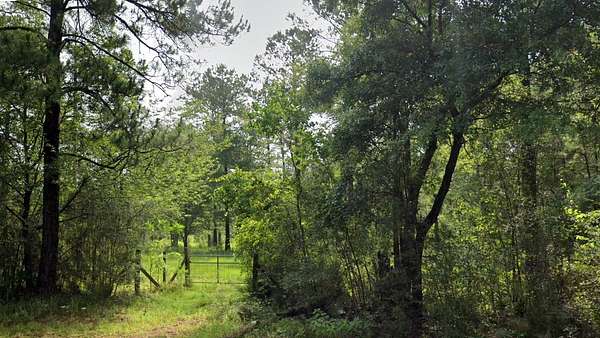 6 Acres of Land for Sale in Wilmer, Alabama