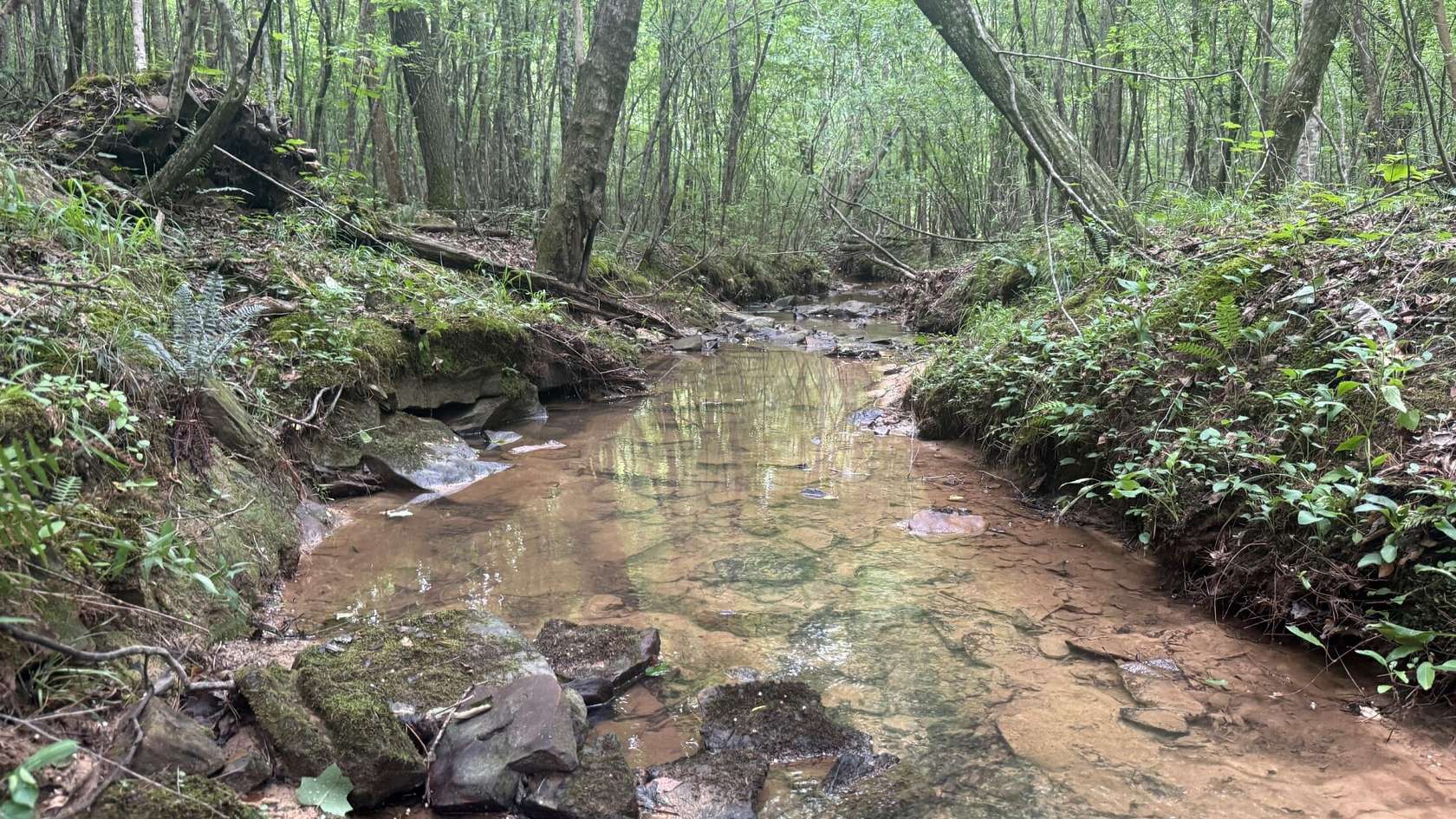 77 Acres of Recreational Land for Sale in Houston, Alabama