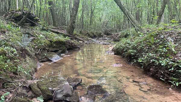 77 Acres of Recreational Land for Sale in Houston, Alabama
