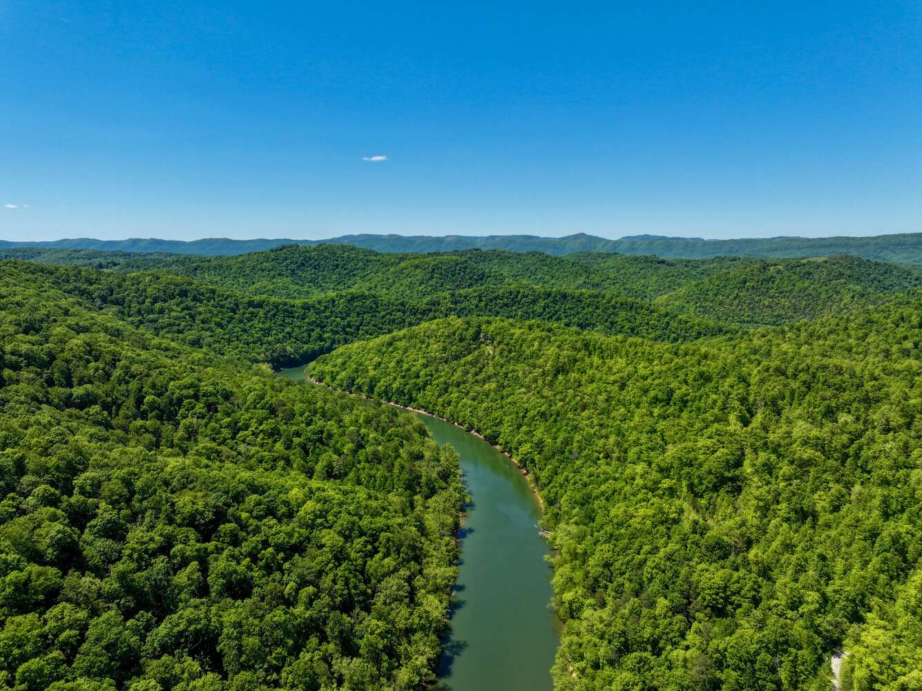 13.3 Acres of Recreational & Residential Land for Sale in Speedwell, Tennessee