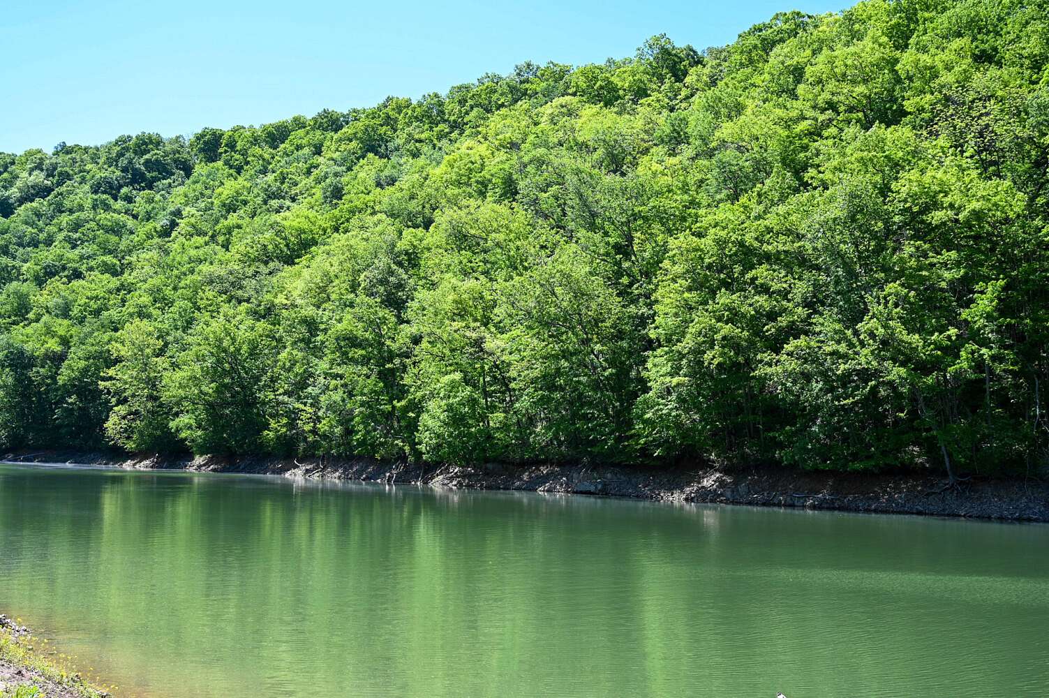 3.46 Acres of Residential Land for Sale in Speedwell, Tennessee