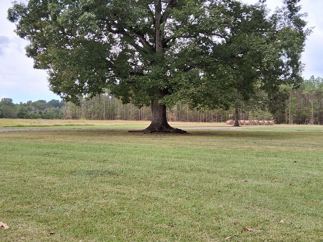225 Acres of Land with Home for Sale in New Albany, Mississippi