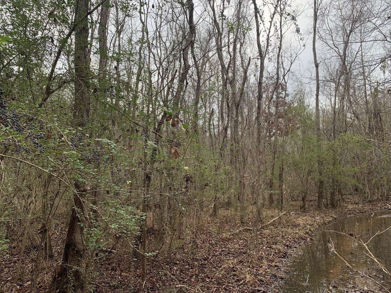 34.7 Acres of Commercial Land for Sale in Rayville, Louisiana