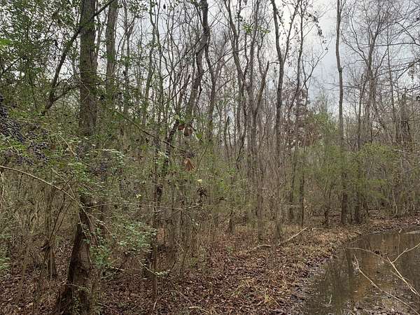 34.7 Acres of Commercial Land for Sale in Rayville, Louisiana