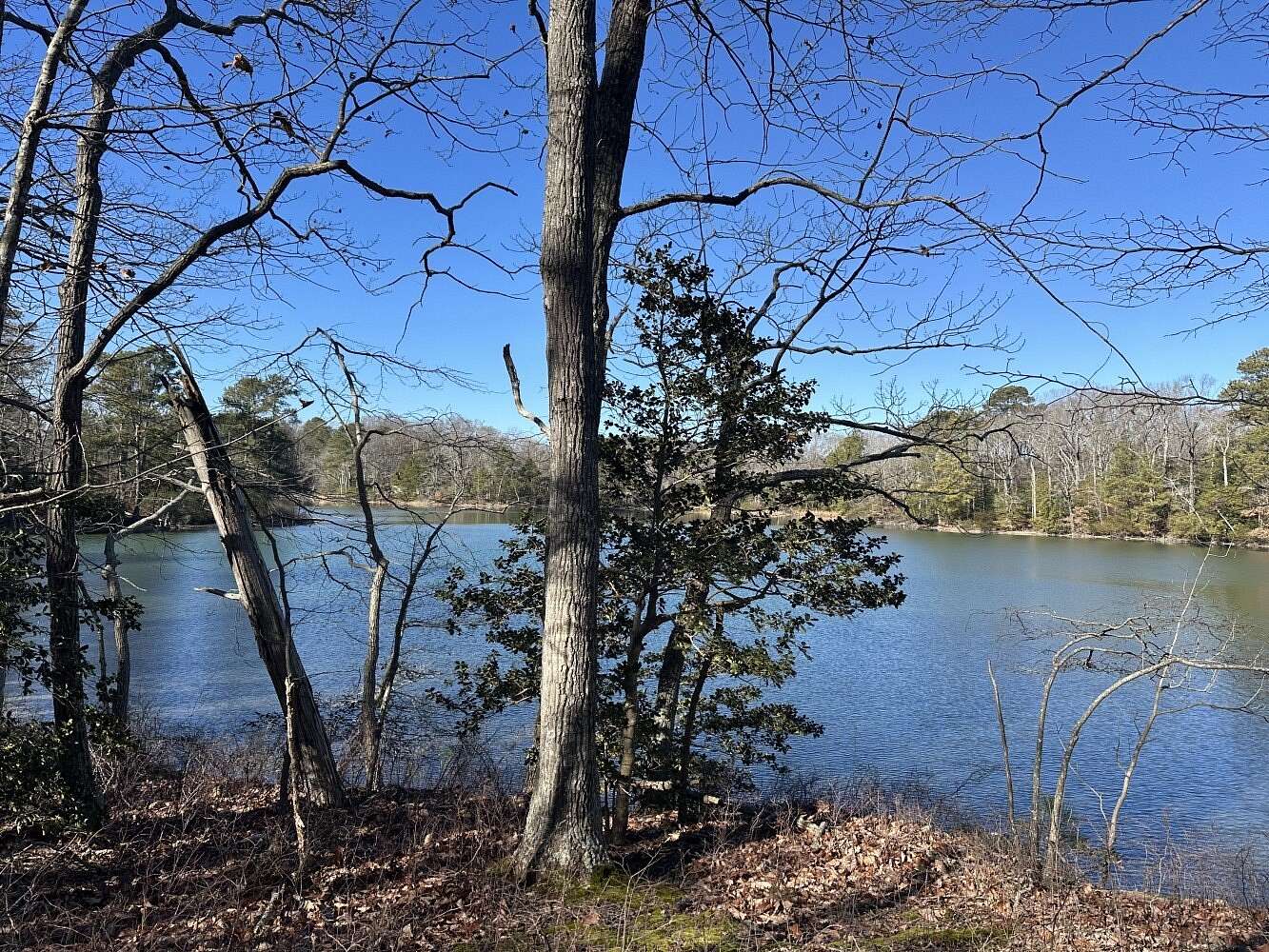 17 Acres of Mixed-Use Land for Sale in Reedville, Virginia