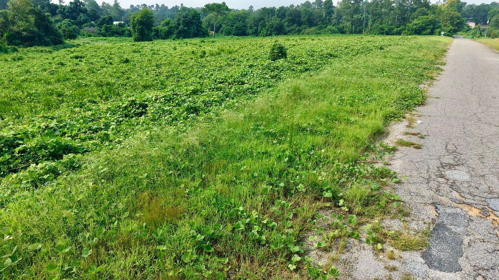 3.48 Acres of Residential Land for Sale in St. Matthews, South Carolina