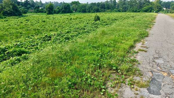 3.48 Acres of Residential Land for Sale in St. Matthews, South Carolina