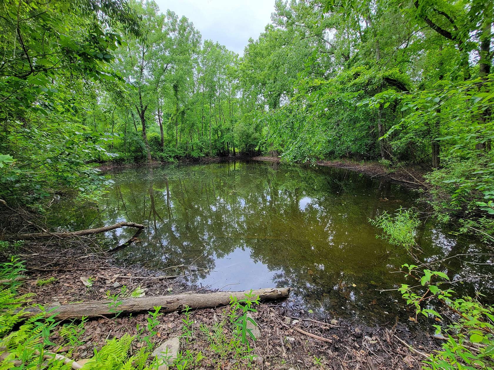 54 Acres of Recreational & Residential Land for Sale in Bennington, Vermont