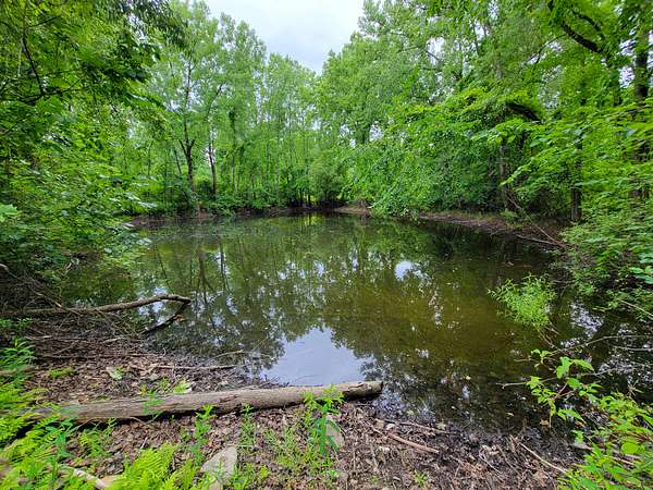54 Acres of Recreational & Residential Land for Sale in Bennington, Vermont