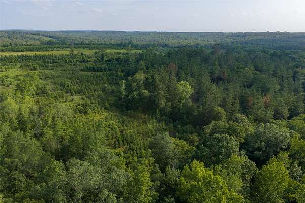 12.4 Acres of Recreational & Residential Land for Sale in Laneville, Texas