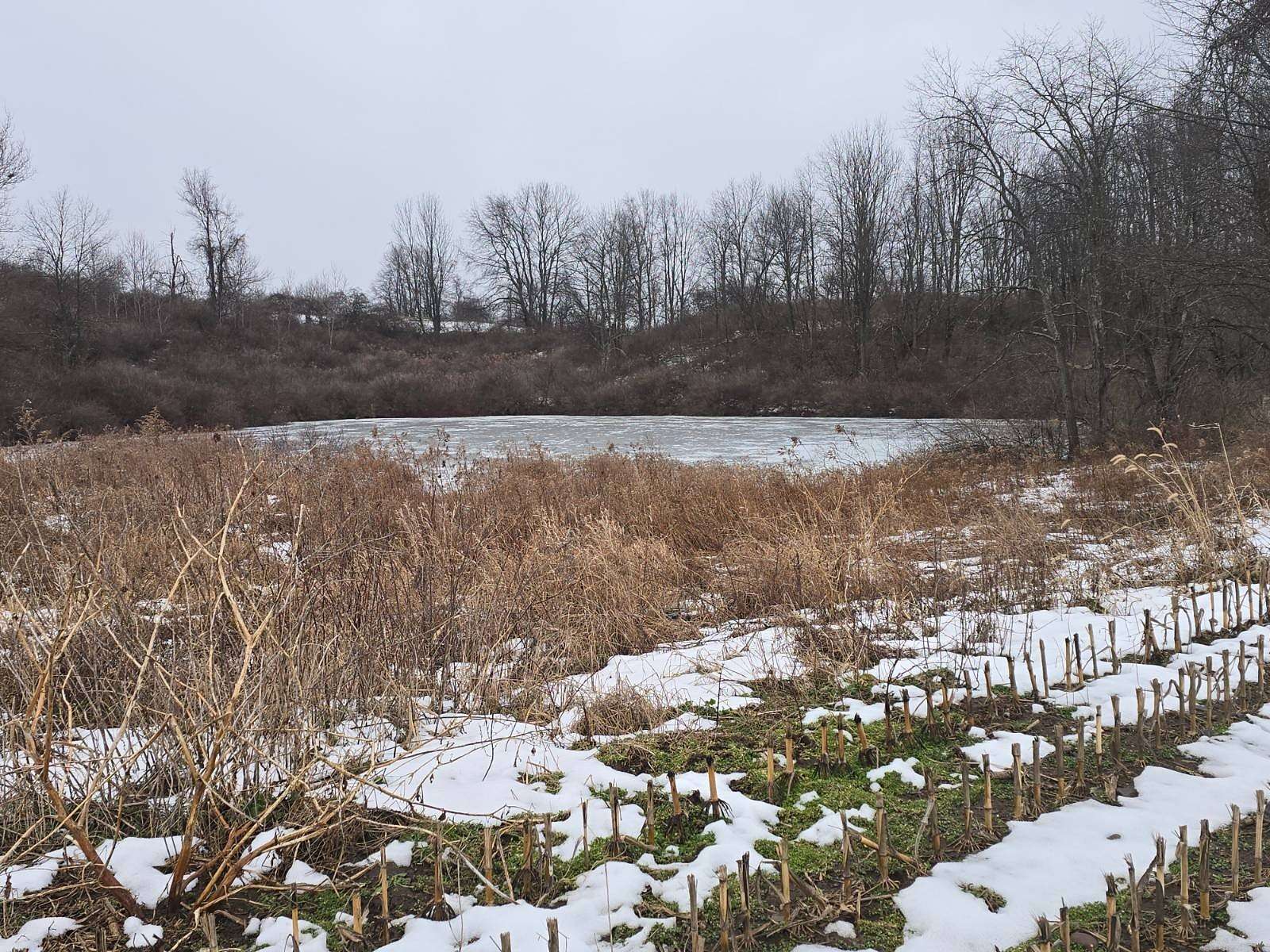 91.7 Acres of Land for Sale in Norwich, New York
