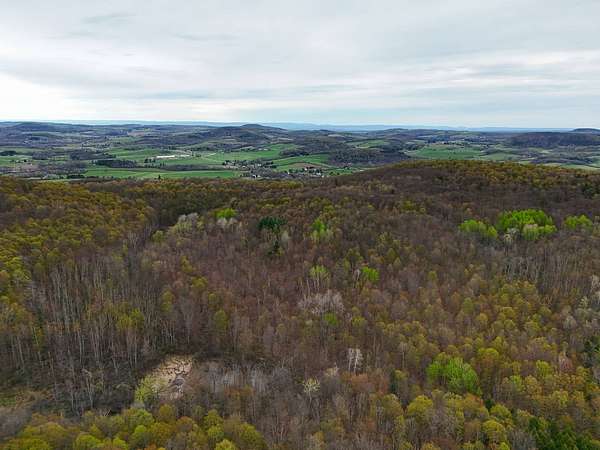 72.4 Acres of Recreational & Residential Land for Sale in Richmondville, New York