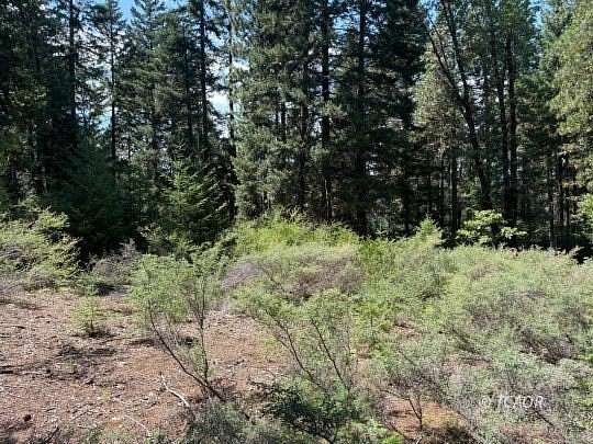 40 Acres of Land for Sale in Shasta Lake, California
