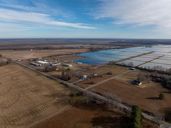 1,146 Acres of Land for Sale in Des Arc, Arkansas