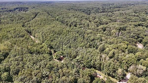 9.58 Acres of Land for Sale in Evart, Michigan