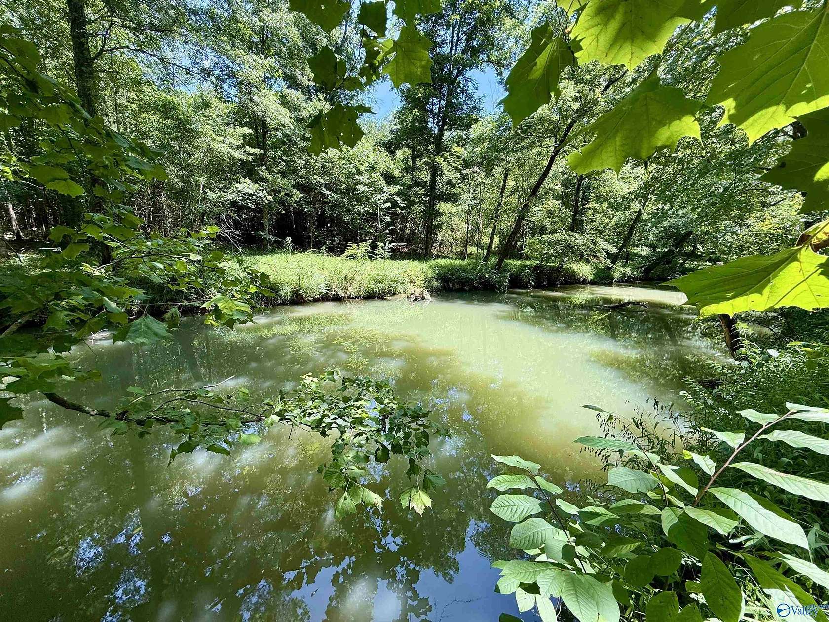 126 Acres of Recreational Land for Sale in Gaylesville, Alabama