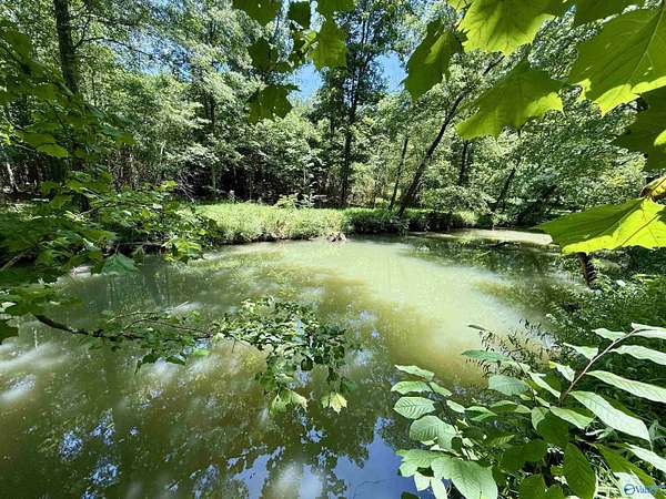 126 Acres of Recreational Land for Sale in Gaylesville, Alabama