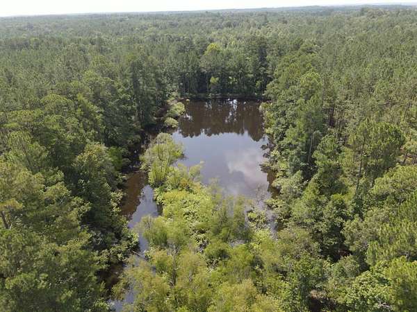 49.3 Acres of Recreational Land for Sale in Summit, Mississippi