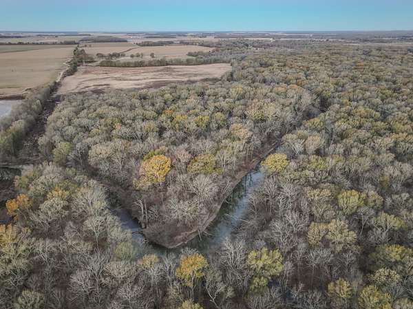 205 Acres of Land for Sale in Palestine, Arkansas